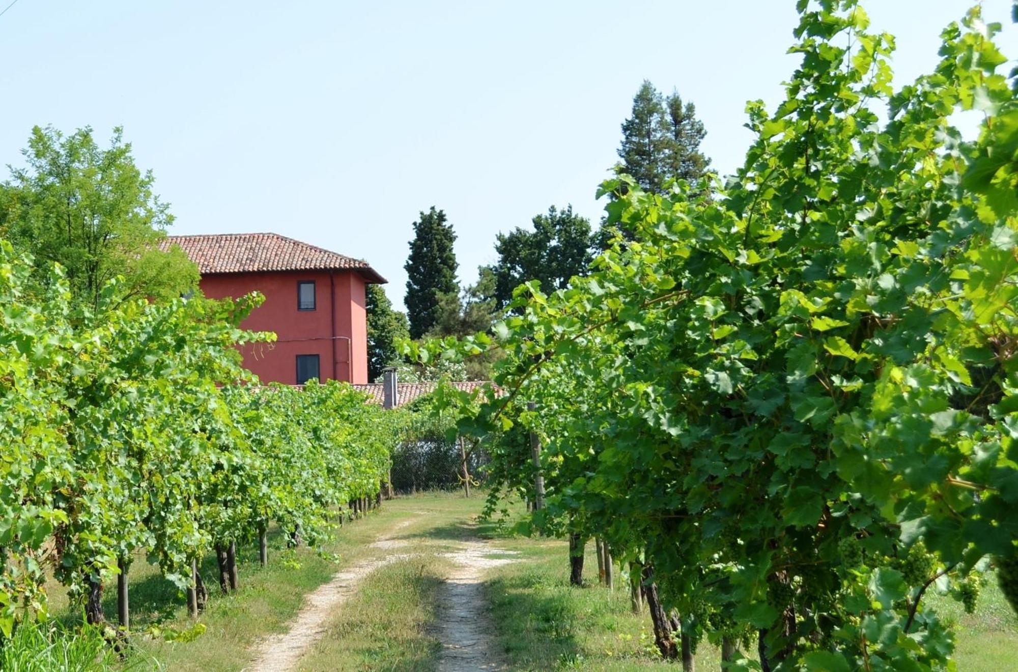 Agriturismo Isola Augusta Palazzolo dello Stella المظهر الخارجي الصورة